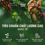 Cà Phê Chồn Cao Cấp Mountain Legend - 10% Real Civet Robusta & 90% Selected Beans Fine Robusta - Hộp 200g - Tặng Phin (Bột) - Ảnh 9