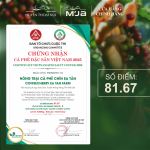 [Selected Coffee Beans] Cà Phê Đặc Sản Dạng Viên Nén Cao Cấp Fine Robusta M'JA - Đạt chuẩn SCA 80+ - Hạt Tuyển Chọn - 100% Robusta - Hộp 60g - Ảnh 12