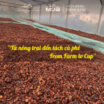 Cà Phê Đặc Sản Cao Cấp Specialty M’JA - 100% Arabica Coffee - Đạt chuẩn SCA 80+ - Hạt Tuyển Chọn - Rang vừa - Túi 250g (Hạt) - Ảnh 4