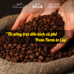 [Premium] Cà Phê Chất Lượng Cao M’JA – 100% Arabica Coffee – Rang Mộc Nguyên Chất Cao Cấp – 95% Trái Chín – Túi 500gr (Hạt/Bột) - Ảnh 10