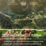 Cà Phê Chồn Cao Cấp Mountain Legend - 10% Real Civet Robusta & 90% Selected Beans Fine Robusta - Hộp 200g - Tặng Phin (Bột) - Ảnh 6
