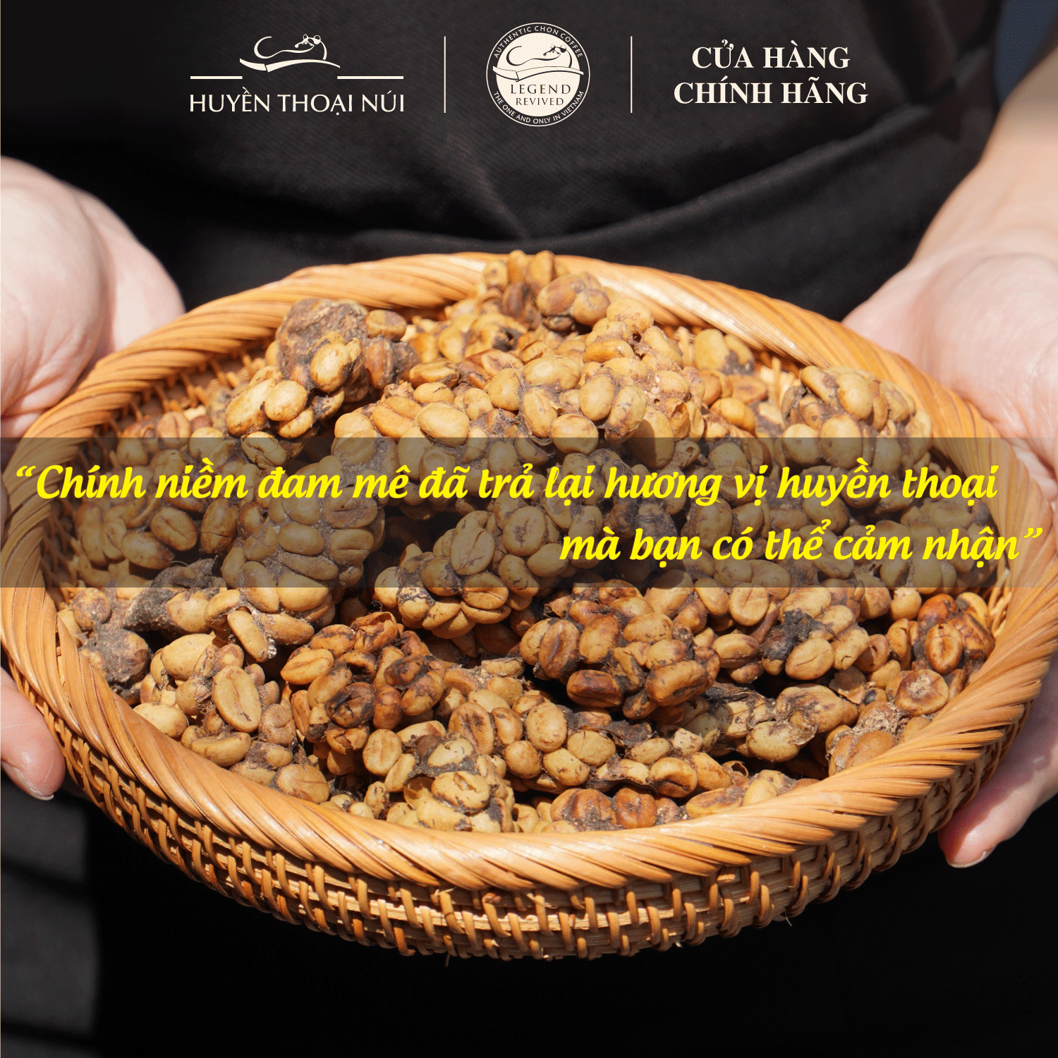 Cà phê chồn