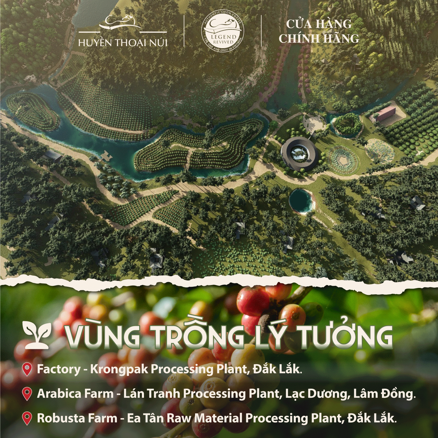 Vùng trồng cà phê lý tưởng