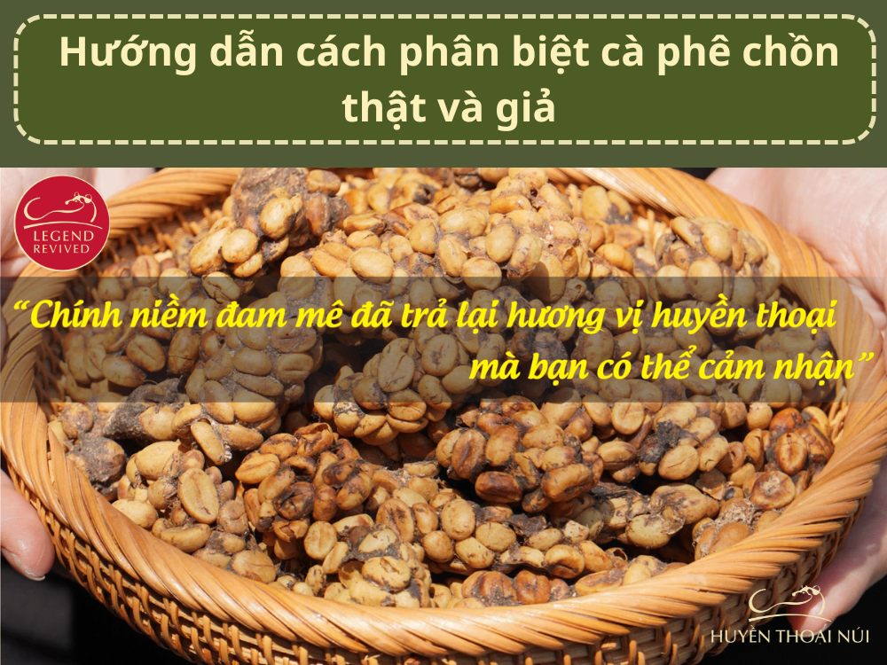 huong dan cach phan biet chon that gia