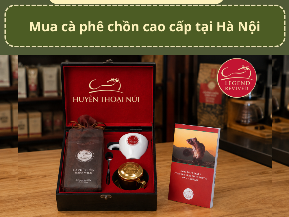 mua ca phe chon cao cap ha noi