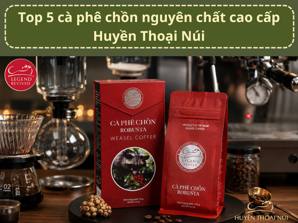 Top 5 cà phê chồn cao cấp