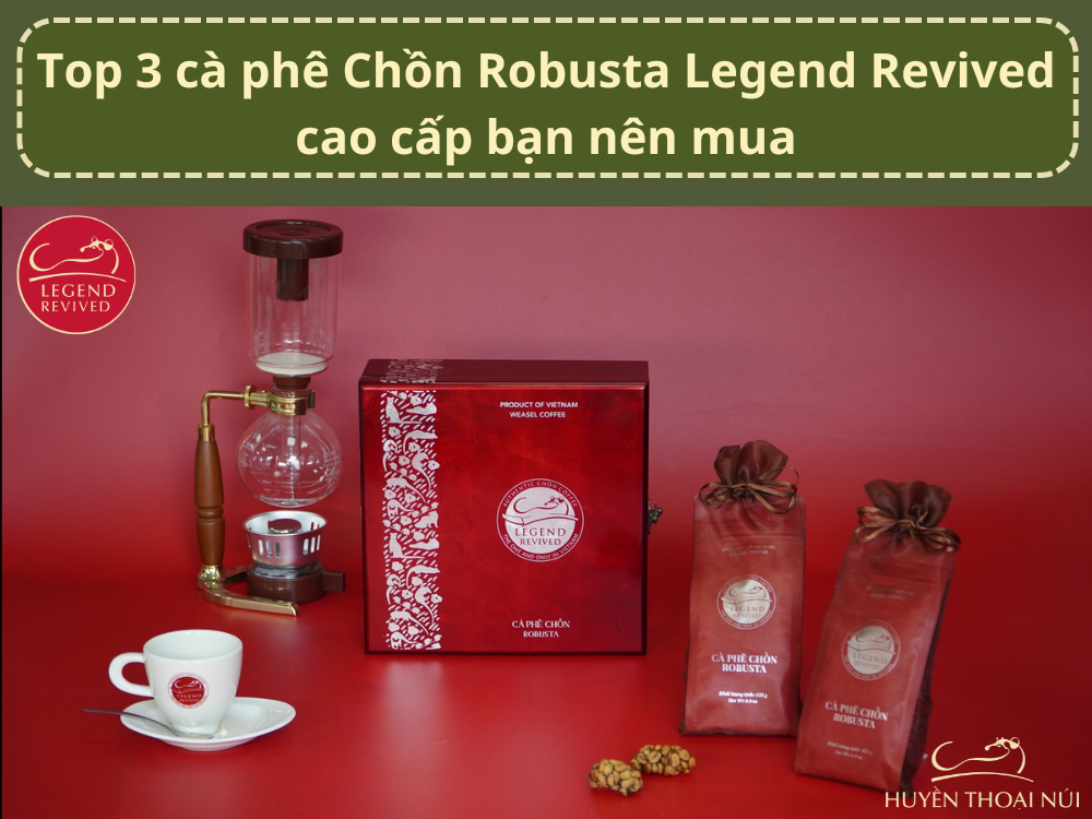 Top 3 ca phe Chon Robusta Legend Revived cao cap ban nen mua