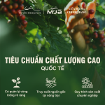 Cà Phê Đen Hòa Tan M'JA (Black Instant Coffee) 40g - Vị Cà Phê Đậm Đà Mạnh Mẽ - Ảnh 9